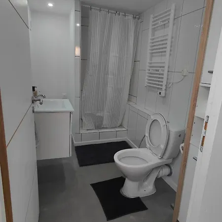 Bel Appartement F2 Entierement Renove Sélestat Exterior foto